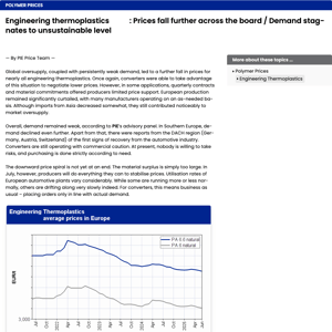 Polymerpreis Report in Depth